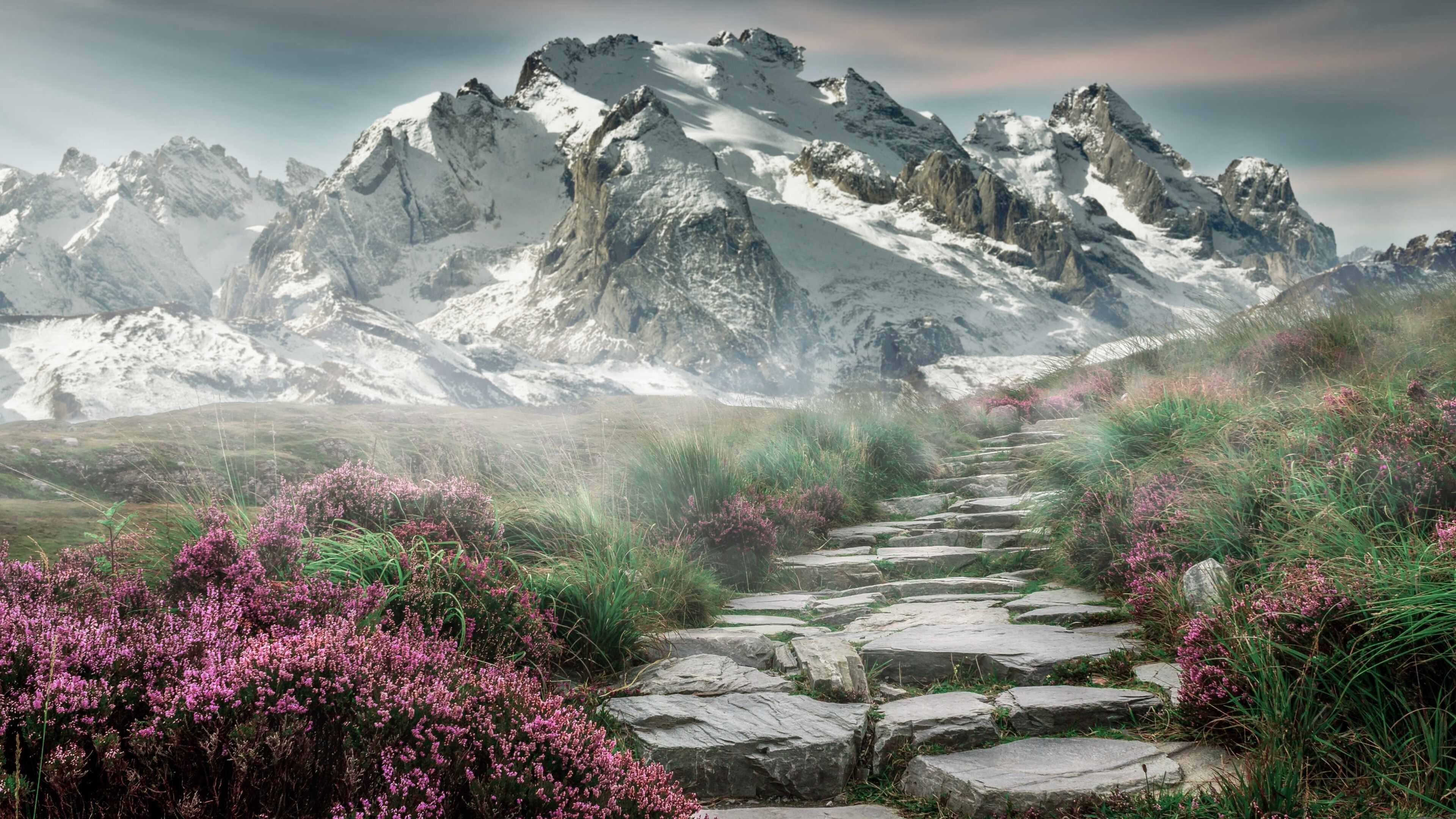 开云入口-跨越式进化，v7.2.5版本更新正式上线，开启2026年智能新体验